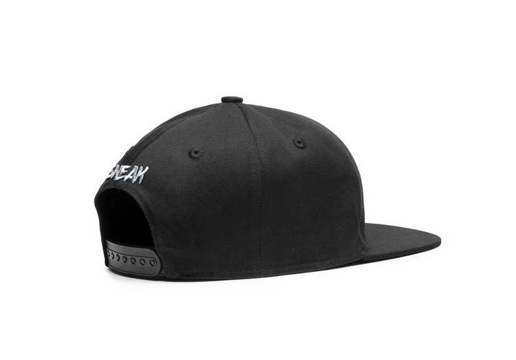 snapback hat rear view